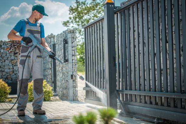 Best Driveway Pressure Washing  in Tarpon Springs, FL