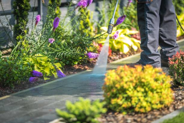 Best Pre-Holiday Cleaning  in Tarpon Springs, FL