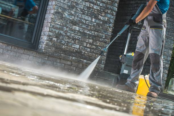 Best Soft Washing  in Tarpon Springs, FL